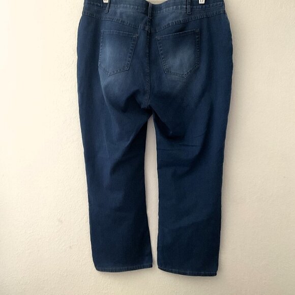 CATO PREMIUM PLUS SIZE JEANS 18WP - Picture 2 of 8